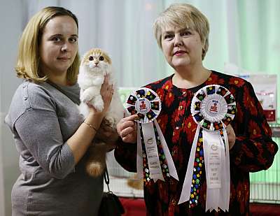 �������� ����� 22-23 ������ 2014, ������������ ��� �������� ����� 22-23 ������ 2014  ������������ ��� 169A8351 copy.jpg